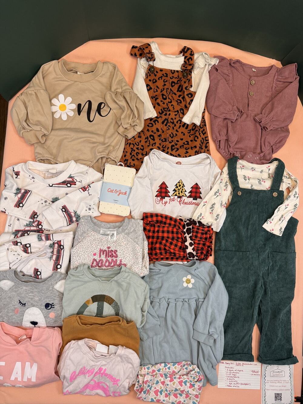 Baby Girl 6-9, 9-12M Fall/Winter Clothing Lot – Dresses, Tops & More #686